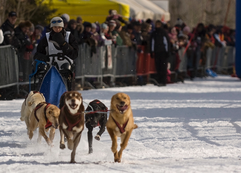 2009-03-14, Competition de traineaux a chiens au Bec-scie (111635).jpg - Au départ